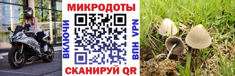 Псилоцибиновые грибы прущие грибы  купить наркоту  MEGA ссылка  Бирюч 